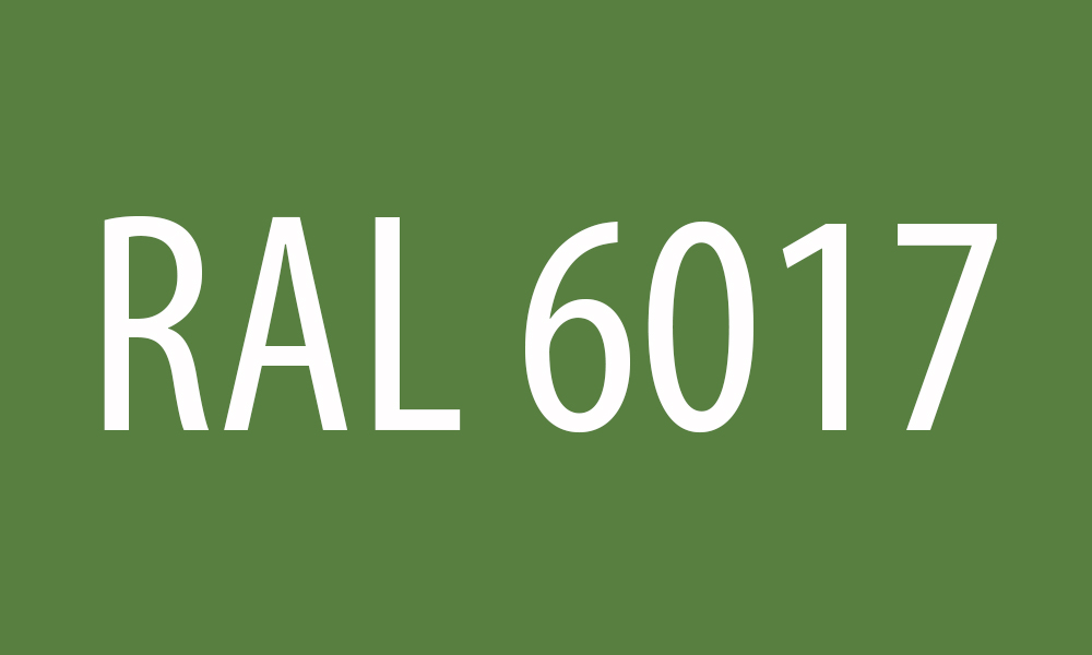 RAL 6017 May Green